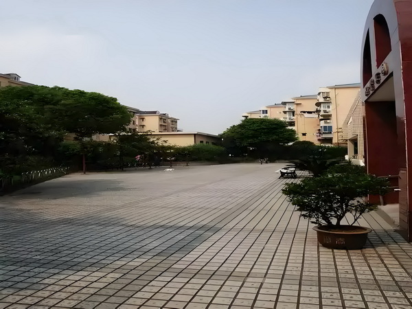 非应届毕业生落户深圳条件_丁子朗認TVB劇集的確開少咗，放眼世界：唔係淨係得敞台 的公推销自己牌司品如何